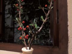 -奈诺甜品·生日蛋糕·下午茶(古城店)