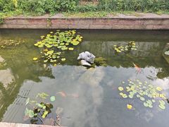 -王阳明故居