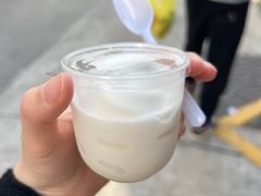 -洪馨椰子