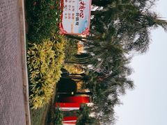 -东风公园