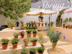 -巴黎婚纱摄影工作室