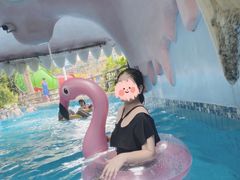 -重庆海昌加勒比海水世界