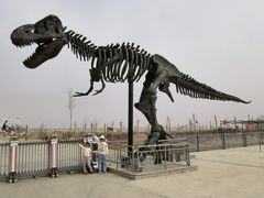-二连浩特国家地质公园