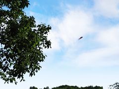 -共青国家森林公园-南大门停车场