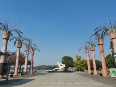 -上海月湖雕塑公园