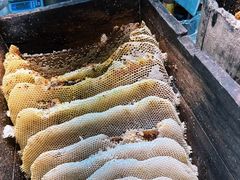 -中国农业博物馆