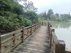 -桤木河湿地公园