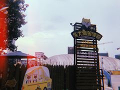 -柴犬高等学院·狗咖·柴犬售卖·宠物训练