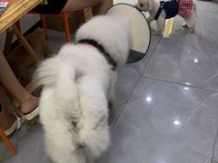 -中国体育彩票(竞彩店)