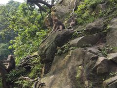-峨眉山风景名胜区