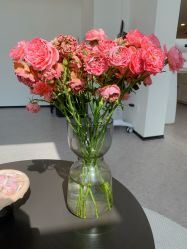 -JNK皮肤管理中心