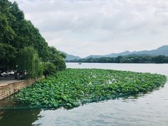 -杭州西湖风景名胜区-钱塘苏小小之墓