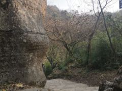 -山王坪喀斯特国家生态公园