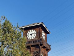 -永定河休闲森林公园