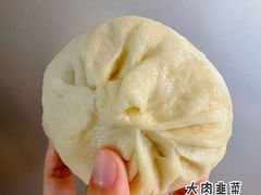 -蔡记包子(百花路店)