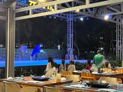 -渔家火锅·海鲜自助餐·演艺(亚龙湾天域酒店)