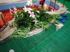 -兴芮温泉度假区