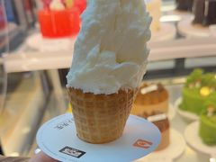 -野人先生现做冰淇淋(北京环宇荟店)