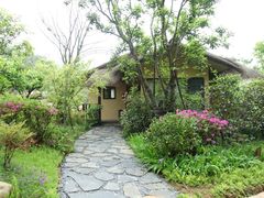 -杭州开元森泊度假乐园