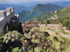 -白草畔自然风景区