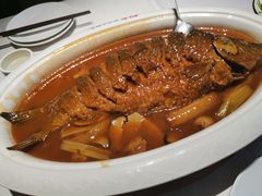 -阿五黄河大鲤鱼(纬三路店)