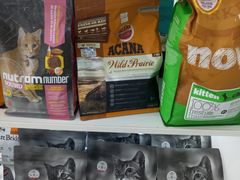 -中农国际动物医院24小时·猫科·骨科·急重症中心