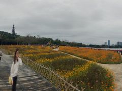 -海珠湖公园