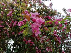 -井格重庆火锅(新世纪店)