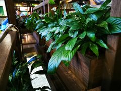-几荷·恰似故人来(秀水广场店)