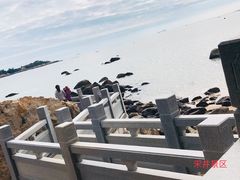 -宋井风景区