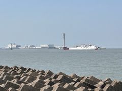 -上海滨江森林公园