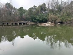 -天目湖山水园