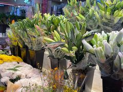 -大自然花鸟鱼虫市场