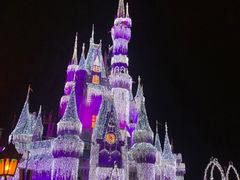 -奥兰多迪士尼动物王国乐园