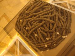 -呼和浩特博物馆