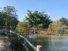 -天适樱花悠乐园