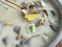 -野狗羊肉汤