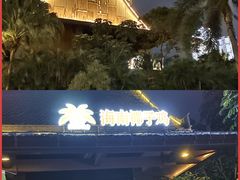-海南椰子鸡餐厅(三亚湾红树林店)