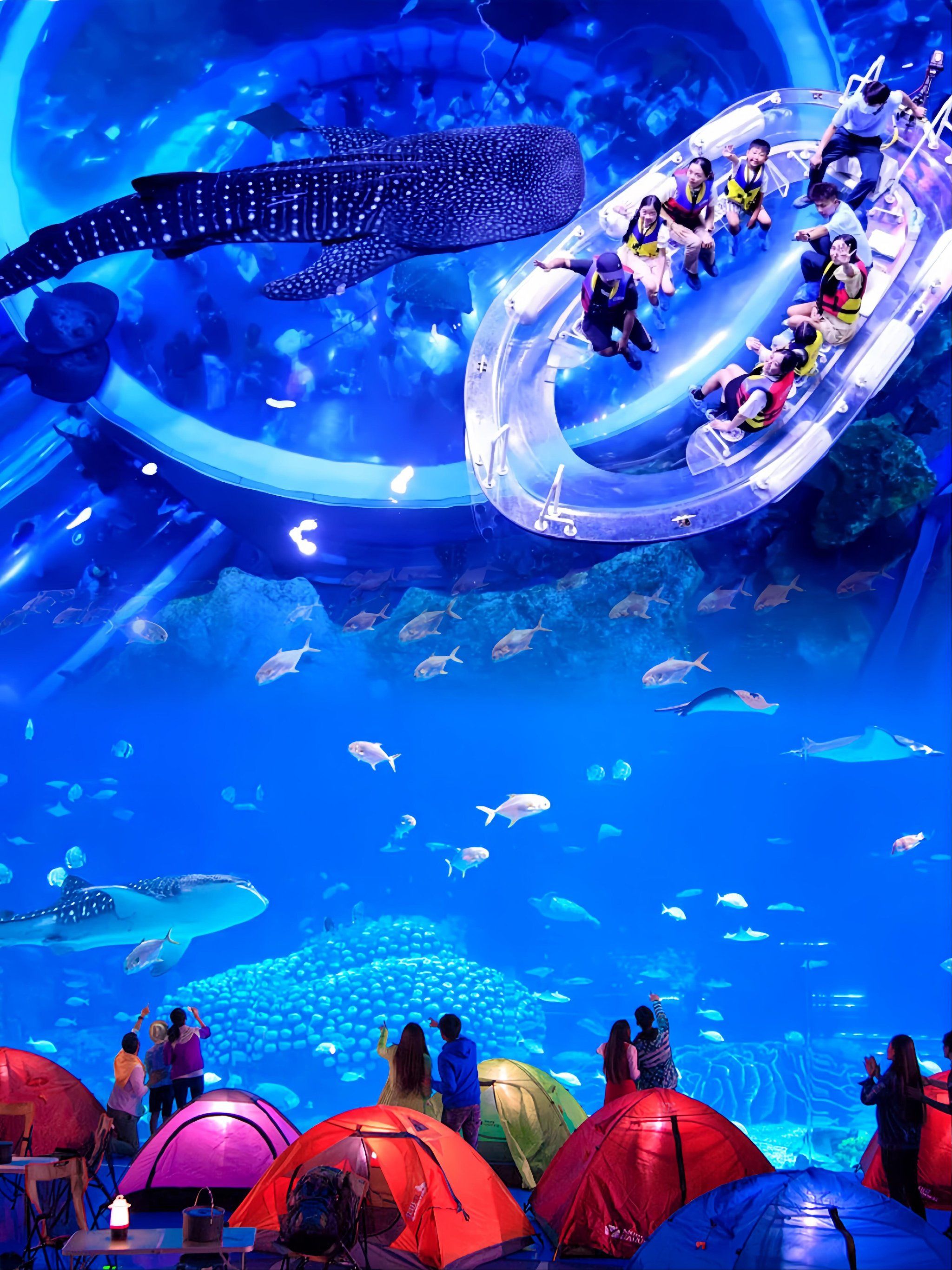 珠海长隆夜宿鲸鲨馆➕鲸鲨保育员🐳新攻略