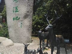 -溱湖国家湿地公园