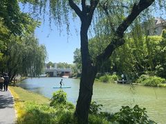 -新江湾城公园