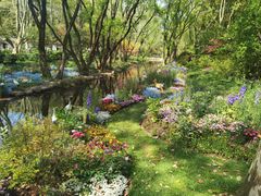 -上海共青森林公园