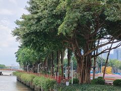 -海心沙亚运公园