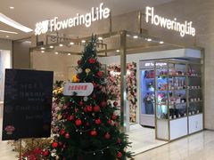 -花邻FloweringLife花艺气球派对(武康大楼店)