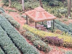 -拾溪餐厅·包厢(杭州千禧度假酒店)