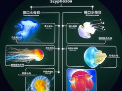 -青岛海底世界-水族馆