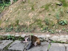-黔灵山公园