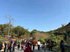 -云溪植物园