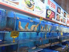 -前王院•巧克力海鲜市集餐厅(万平口店)