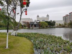 -映月湖公园